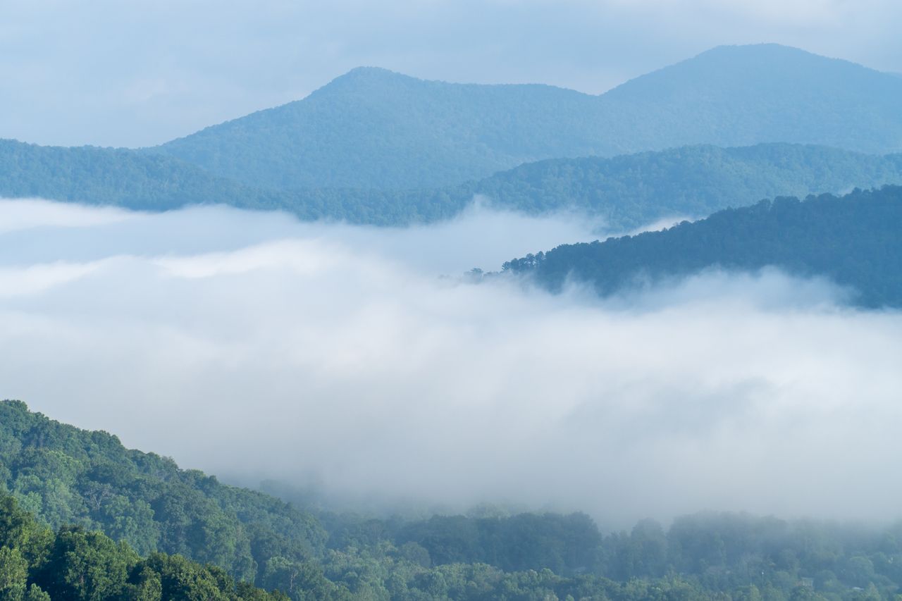 The Art of Drawing Readers In: Your attractive post title goes here Foggy Blue Ridge Mountains with lush greenery in Asheville, NC.